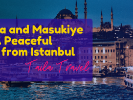 Sapanca and Masukiye Tour: A Peaceful Escape from Istanbul