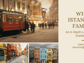 Why is Istanbul So Famous? An In-Depth Look at the City of Istanbul, Turkey